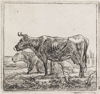 KG 03462
<br/>
Twee koeien
<br/>
<em>Cuyp, Aelbert (1620-1691)</em>